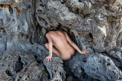 EDITIONS #3 | Human Nature: Maria inside an olive tree